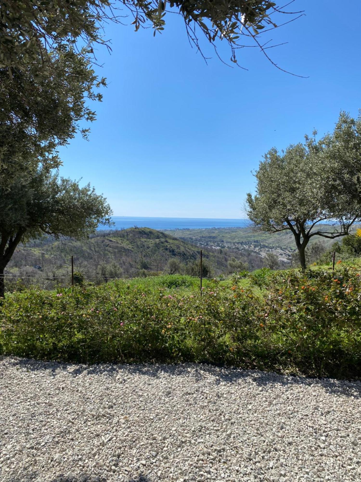 Cullura Apartament Asklipiion