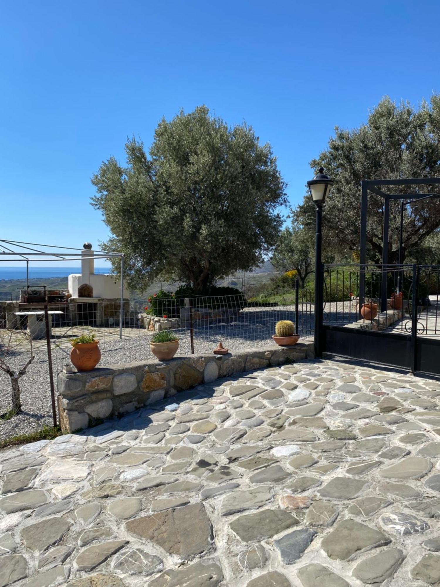 Apartment Cullura Asklipiion